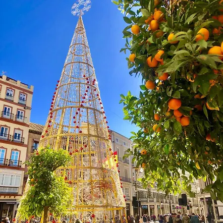 Atico Centro Apartment Malaga
